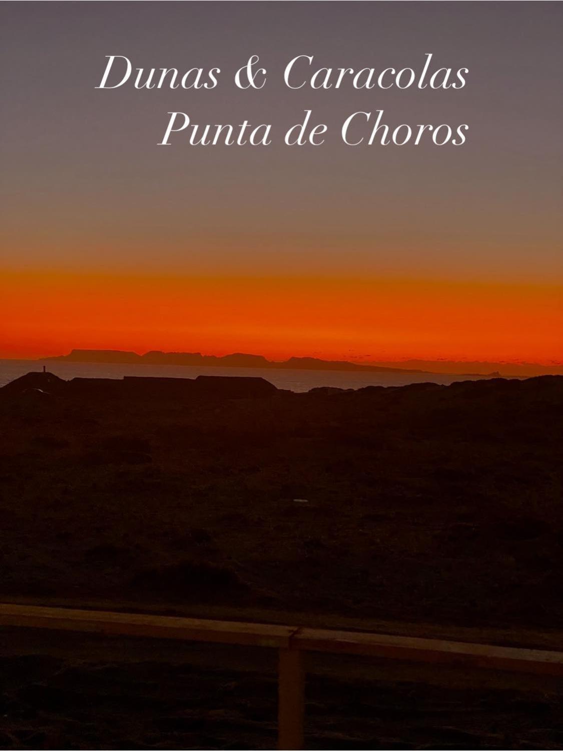 Entre Dunas Y Caracolas Punta de Choros Bagian luar foto